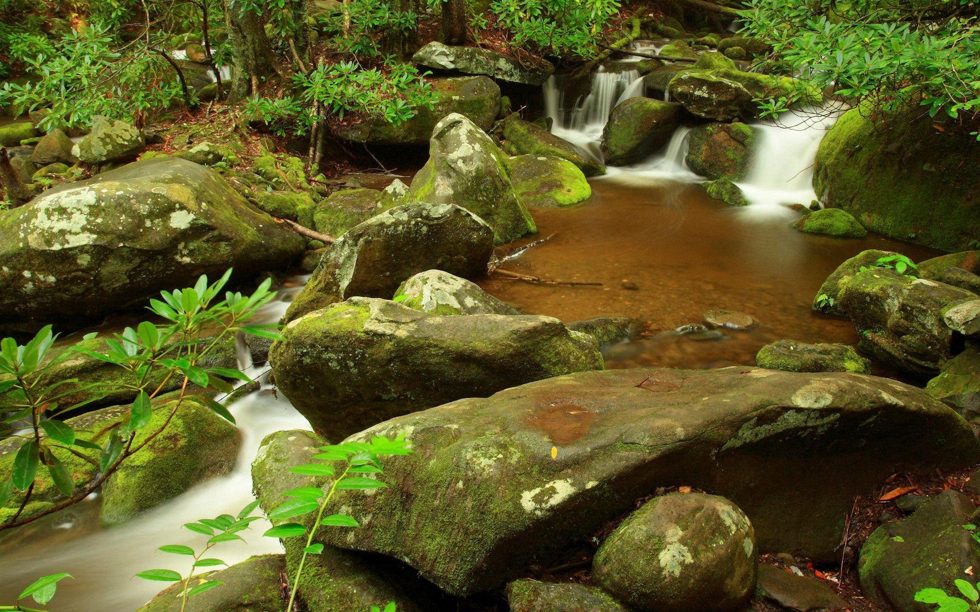 Pond Wallpaper Rivers Nature Wallpaper in jpg format for free download