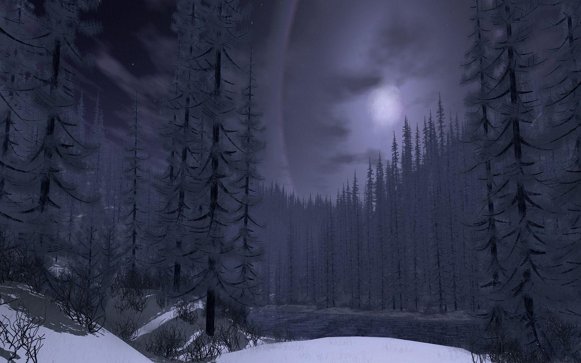 Winter nature forest snow moon tree wallpaperx1200