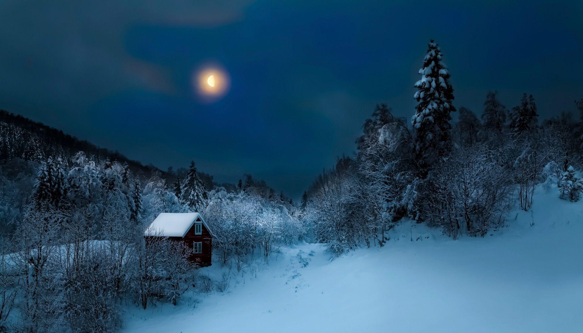 Download wallpaper 1920x1098 building, winter, snow, night, forest