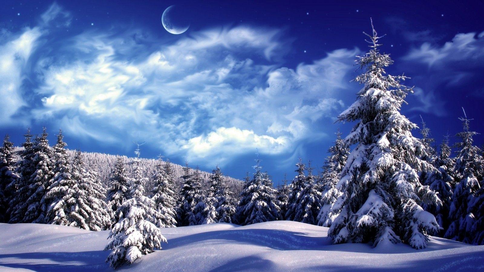 Download 1600x900 Snow, Moon, Trees, Scenic, Stars Wallpaper