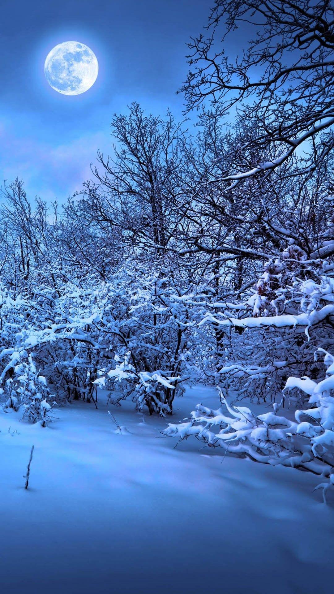 Moonlight forest. iPhone Wallpaper. Winter scenery, iPhone wallpaper winter, Winter landscape