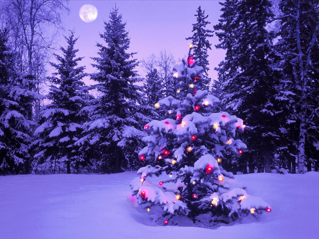 New Year Wallpaper Snow Moon Night And The Christmas Tree