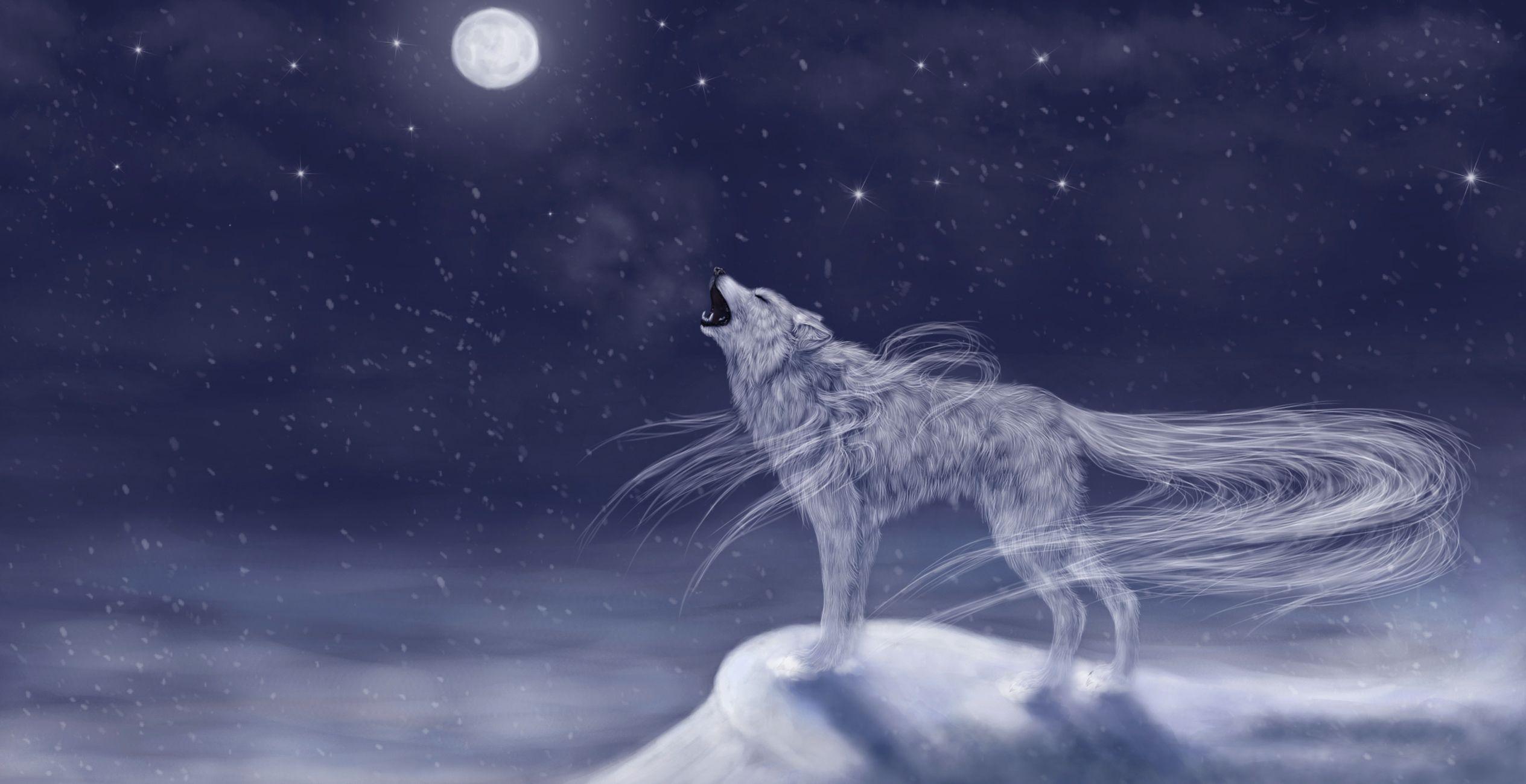 Art, Animal, Wolf Howls Vhost, Moon, Sky, Night, Snow, Cold