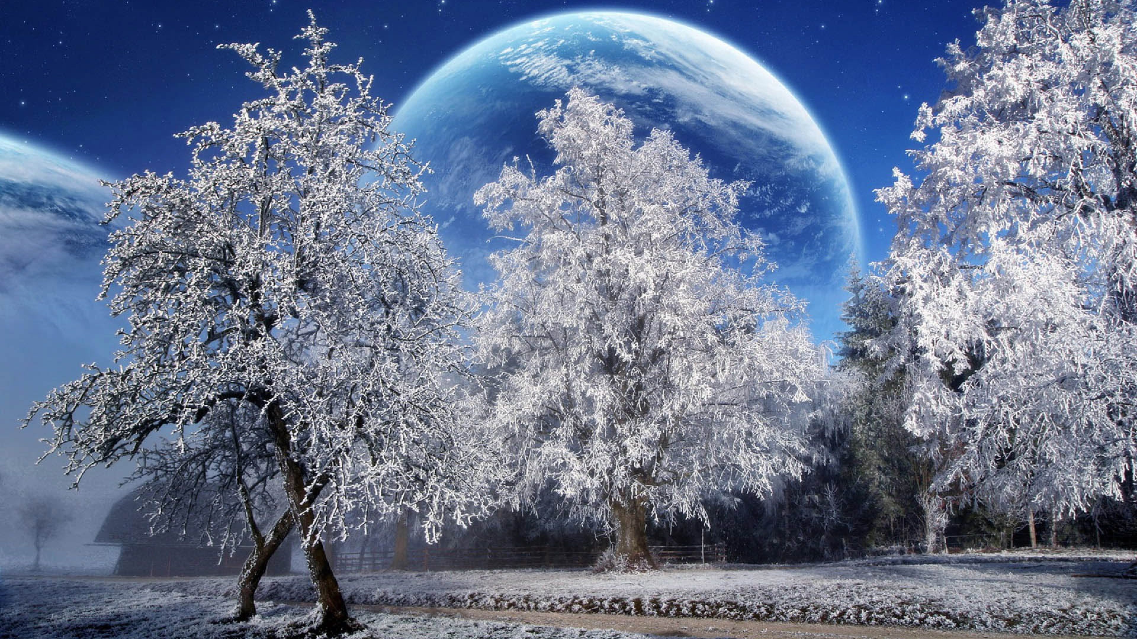 Winter Snow Full Moon High Resolution HD Wallpaper 3840x2160