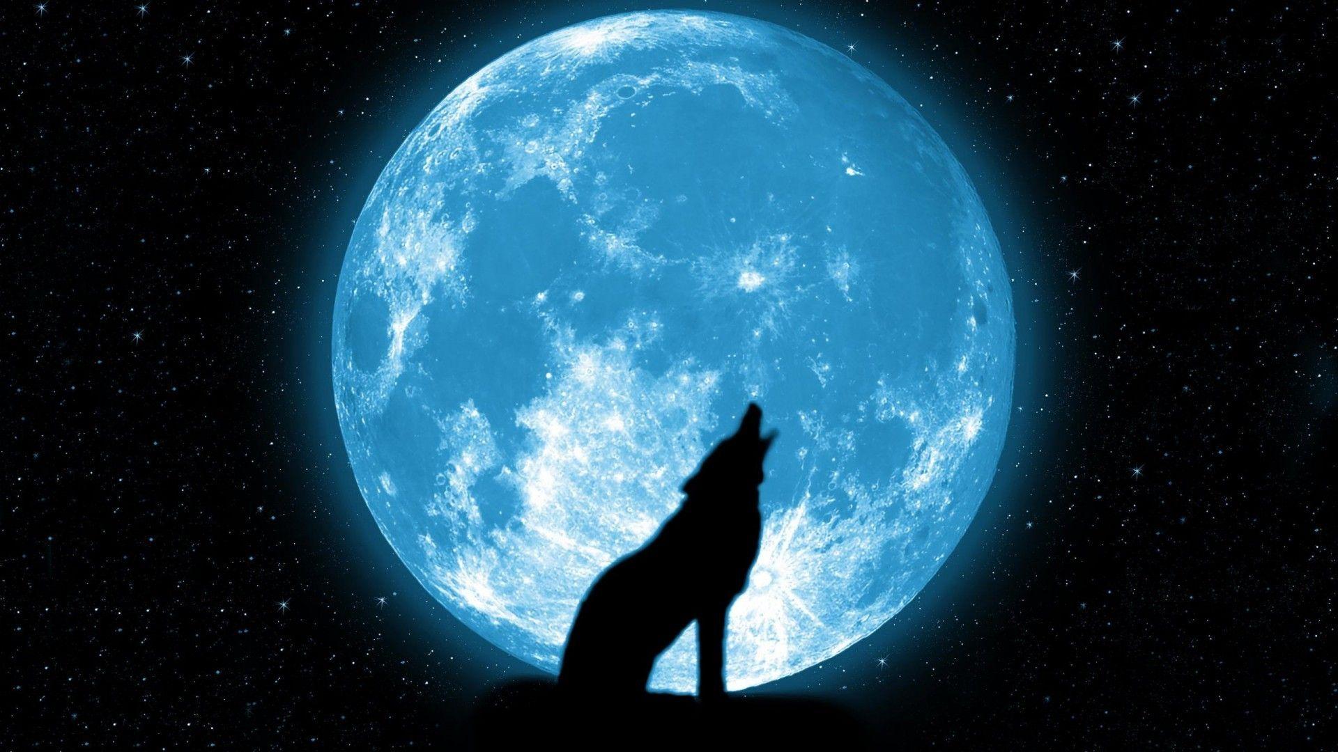 Wolf Howling At The Moon Wallpaper background picture