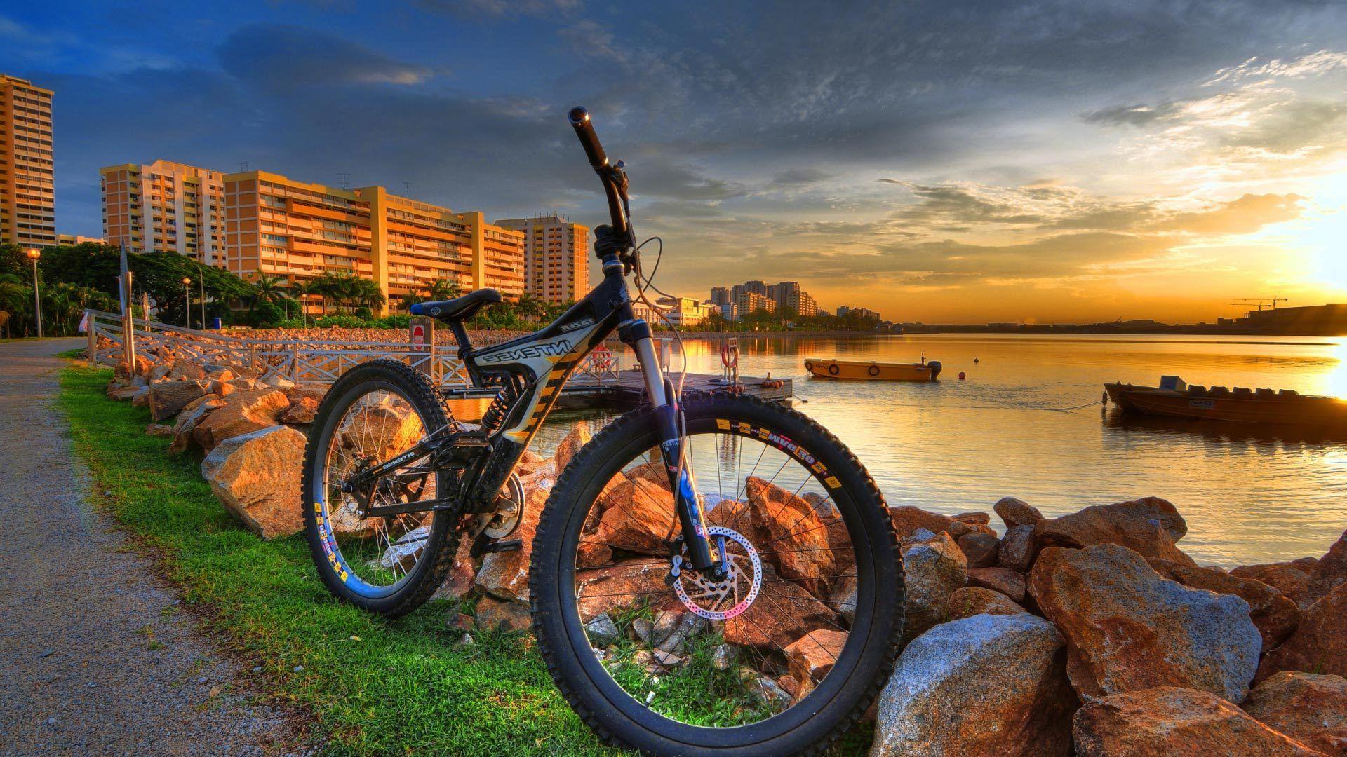 500 Best Bicycle Pictures HD  Download Free Images on Unsplash