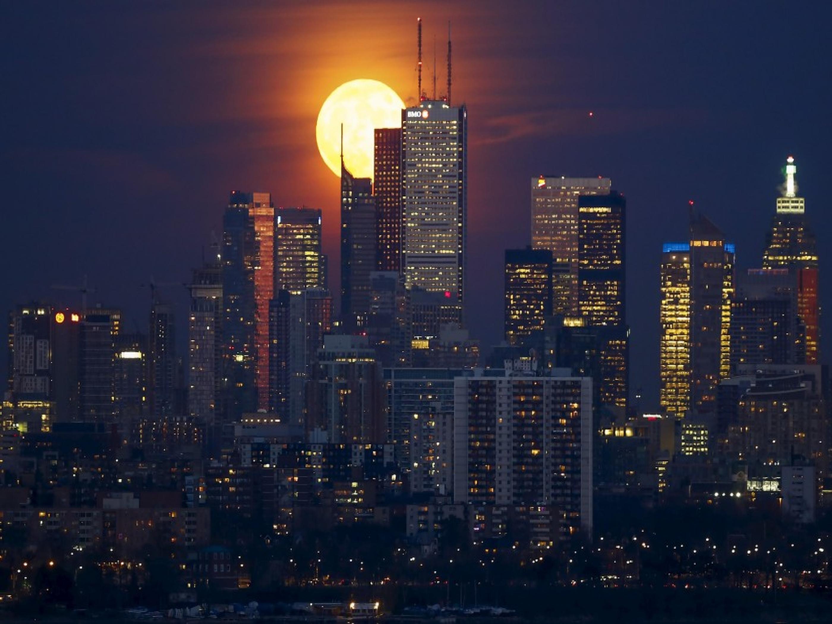 Toronto Wallpaper #G4QO9KC (1024x629)