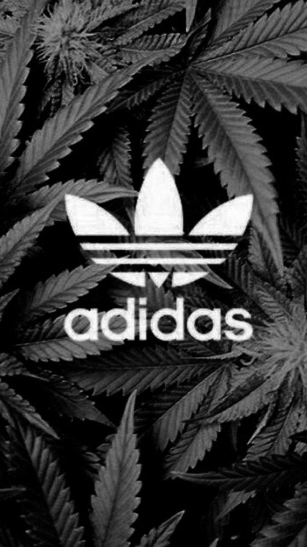 78+ Adidas Iphone Wallpapers