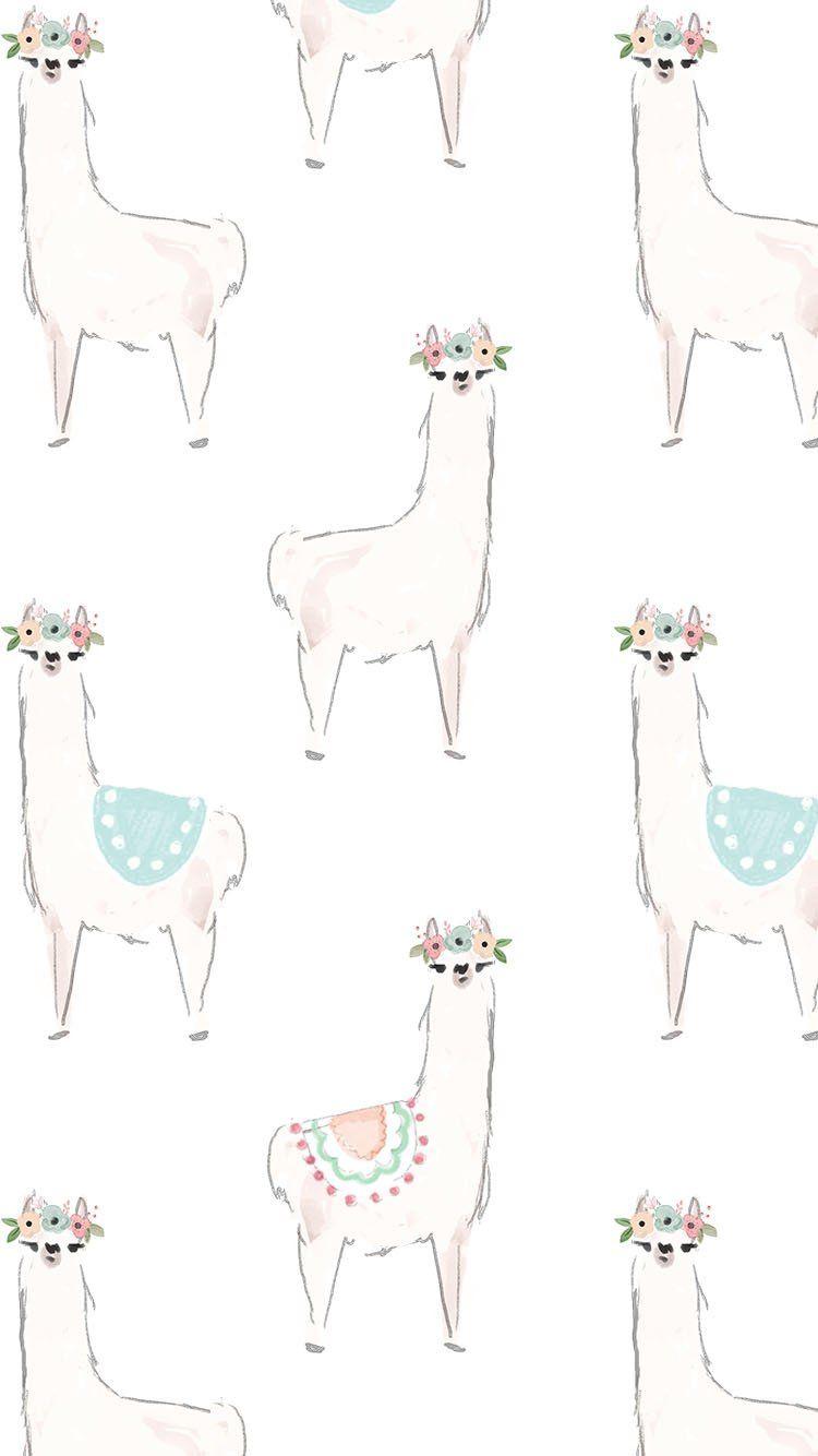 Llama Wallpaper Wallpaper Picture