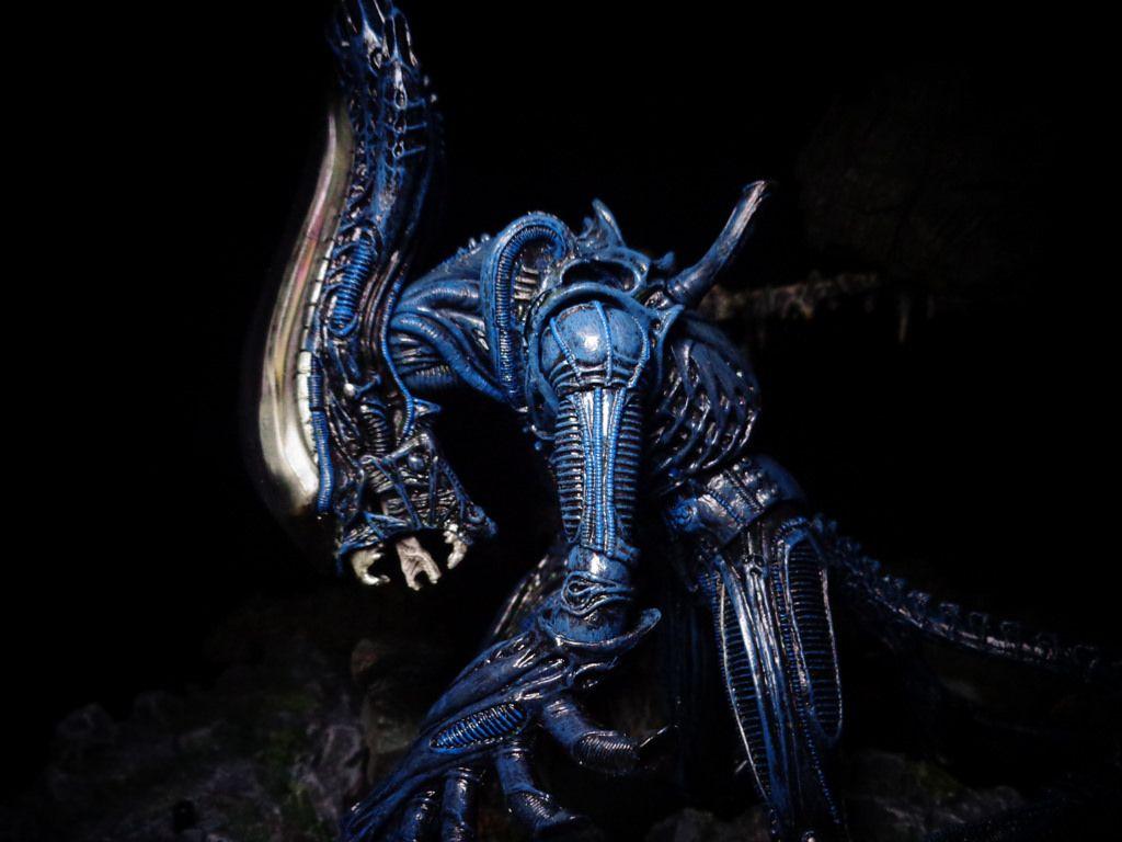 Massive Alien. At roughly the size of a Praetorian, the Gor