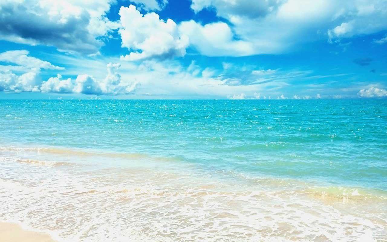 Free Wallpaper][Sea Live], Worth Watching Wallpaper of Sea View
