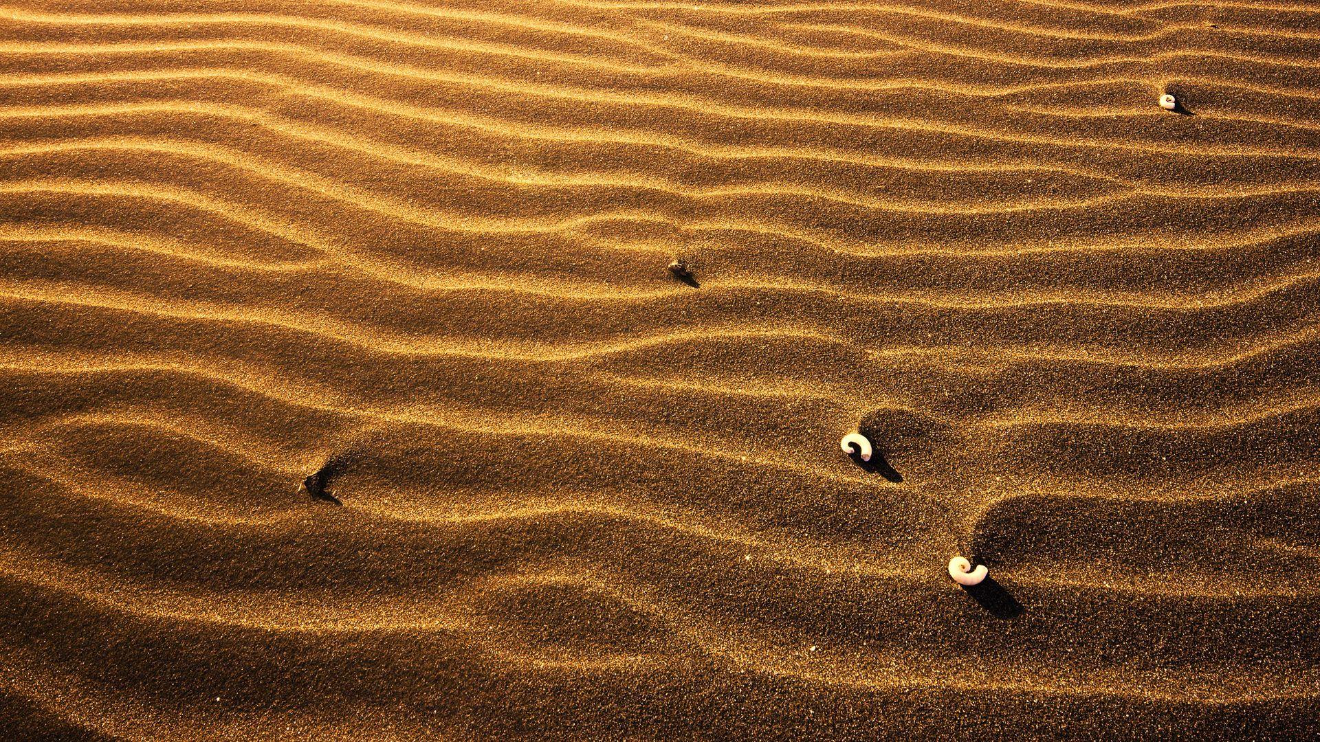 Daily Wallpaper: Sand. I Like To Waste My Time