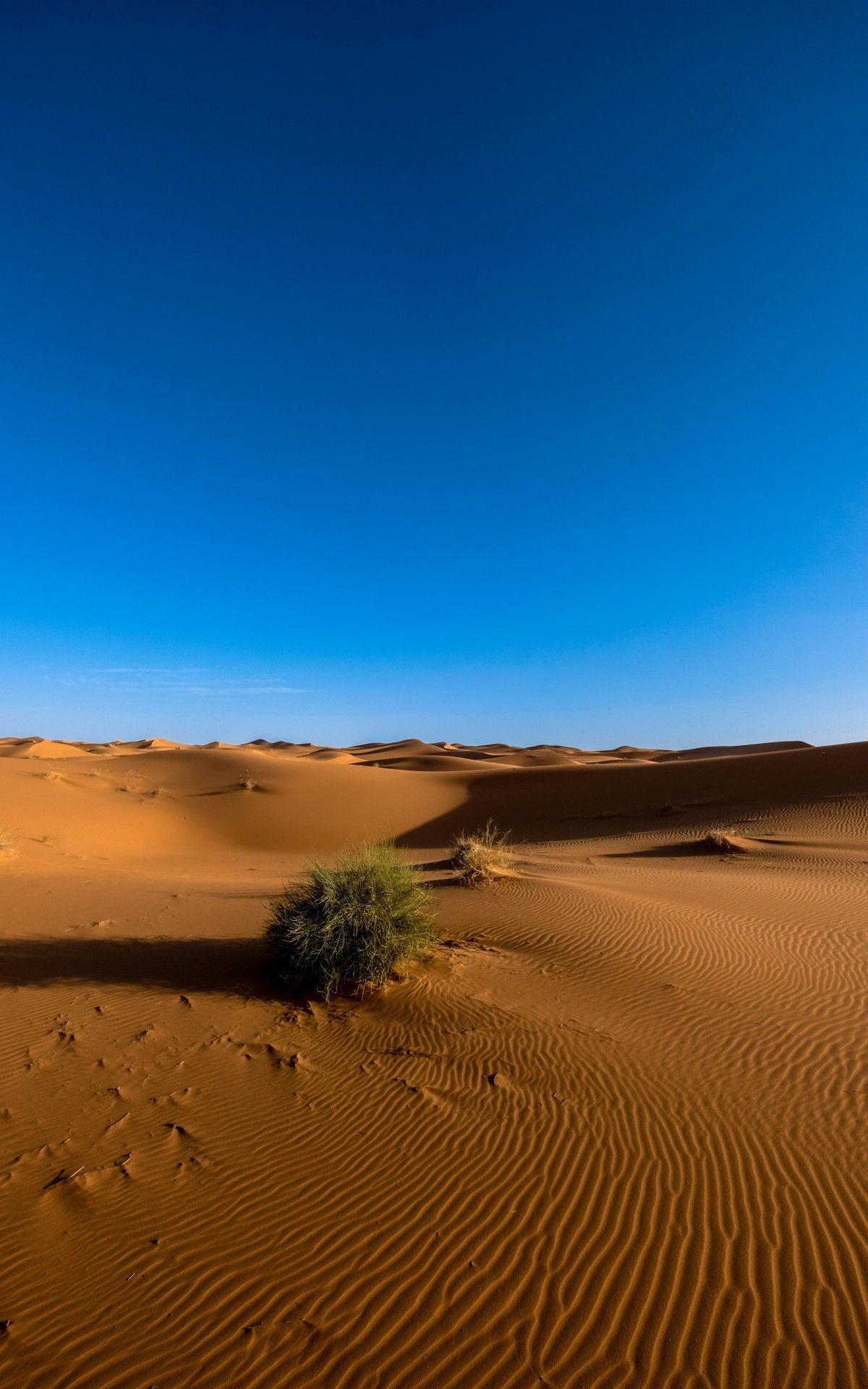 Download 1200x1920 Sahara Desert, Clean Sky, Sand Wallpaper
