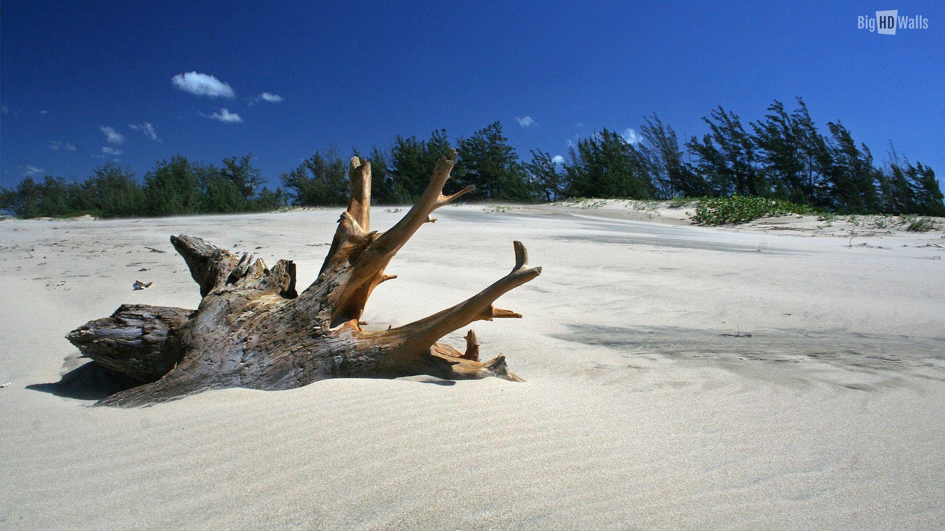 White Sand Beach Wallpaper background picture