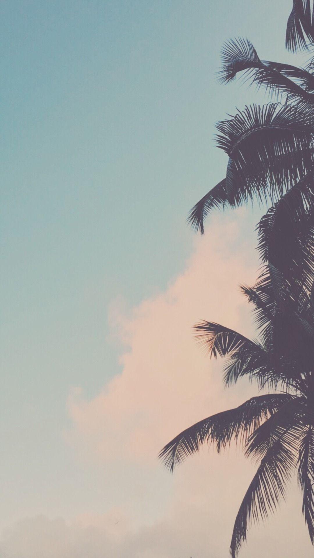 Chill wallpapers tumblr Gallery