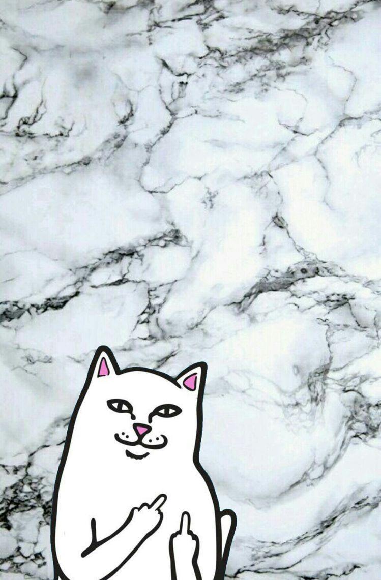 Ripndip iPhone Cat Wallpaper Trippy Picture