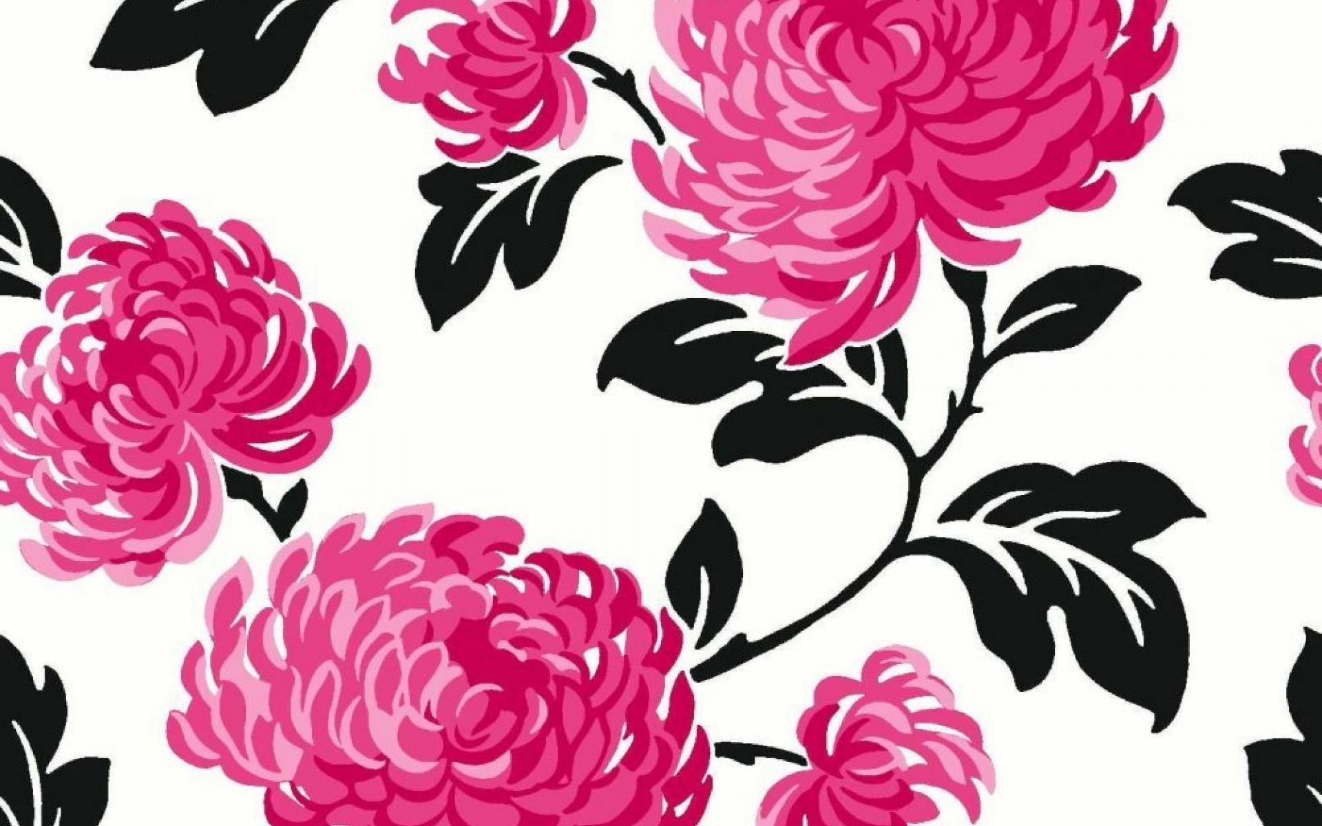 Black White And Pink Wallpaper, Picture