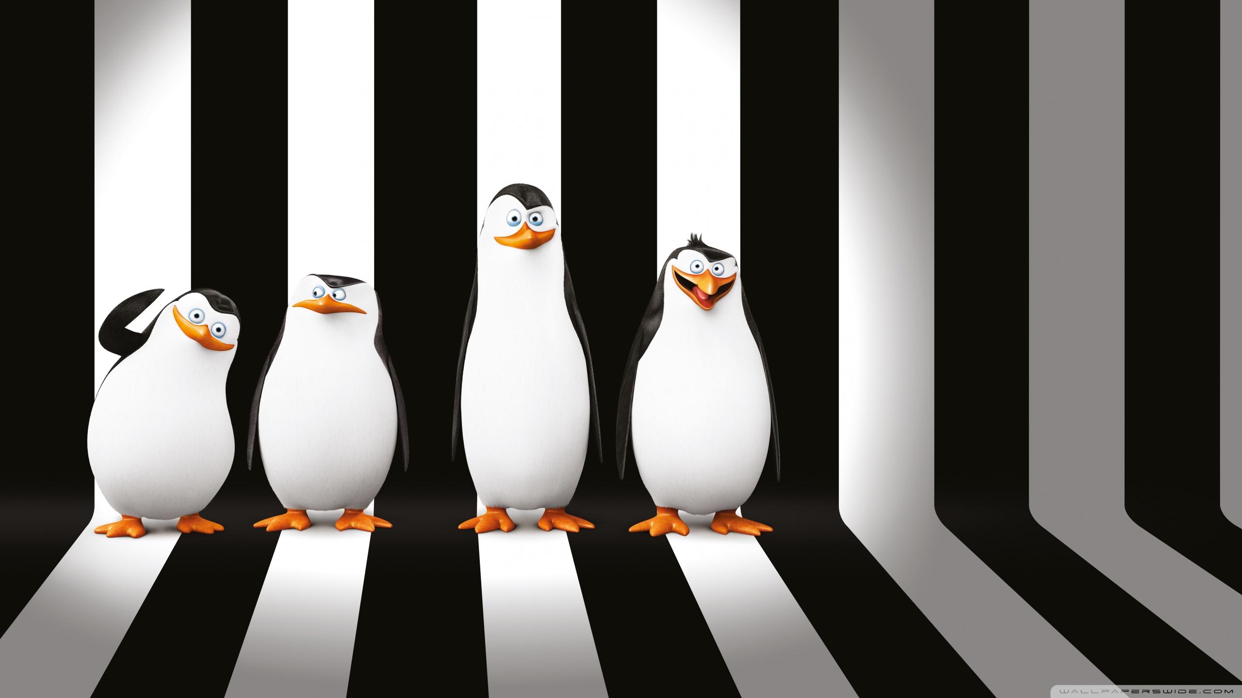 Penguins of Madagascar Wallpaper 3 X 1440