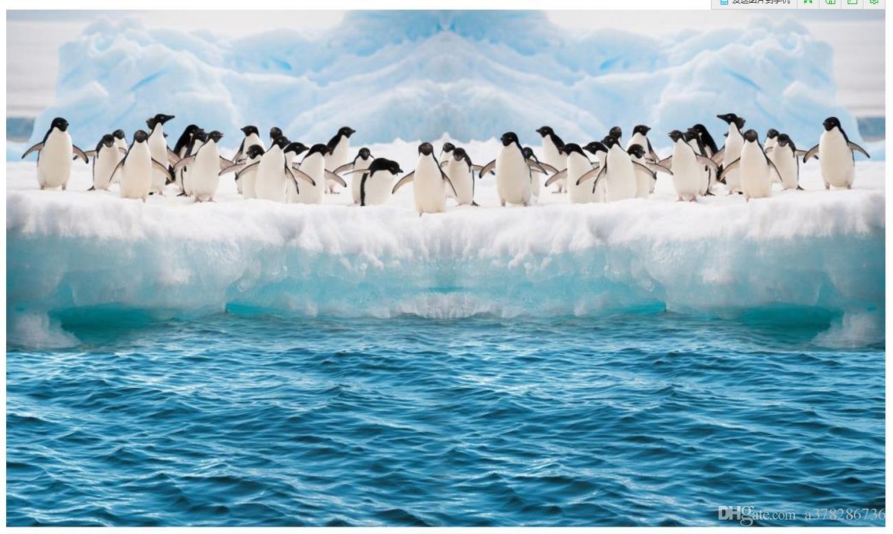 3D Photo Wallpaper Custom Wall Murals Wallpaper Mural Penguins