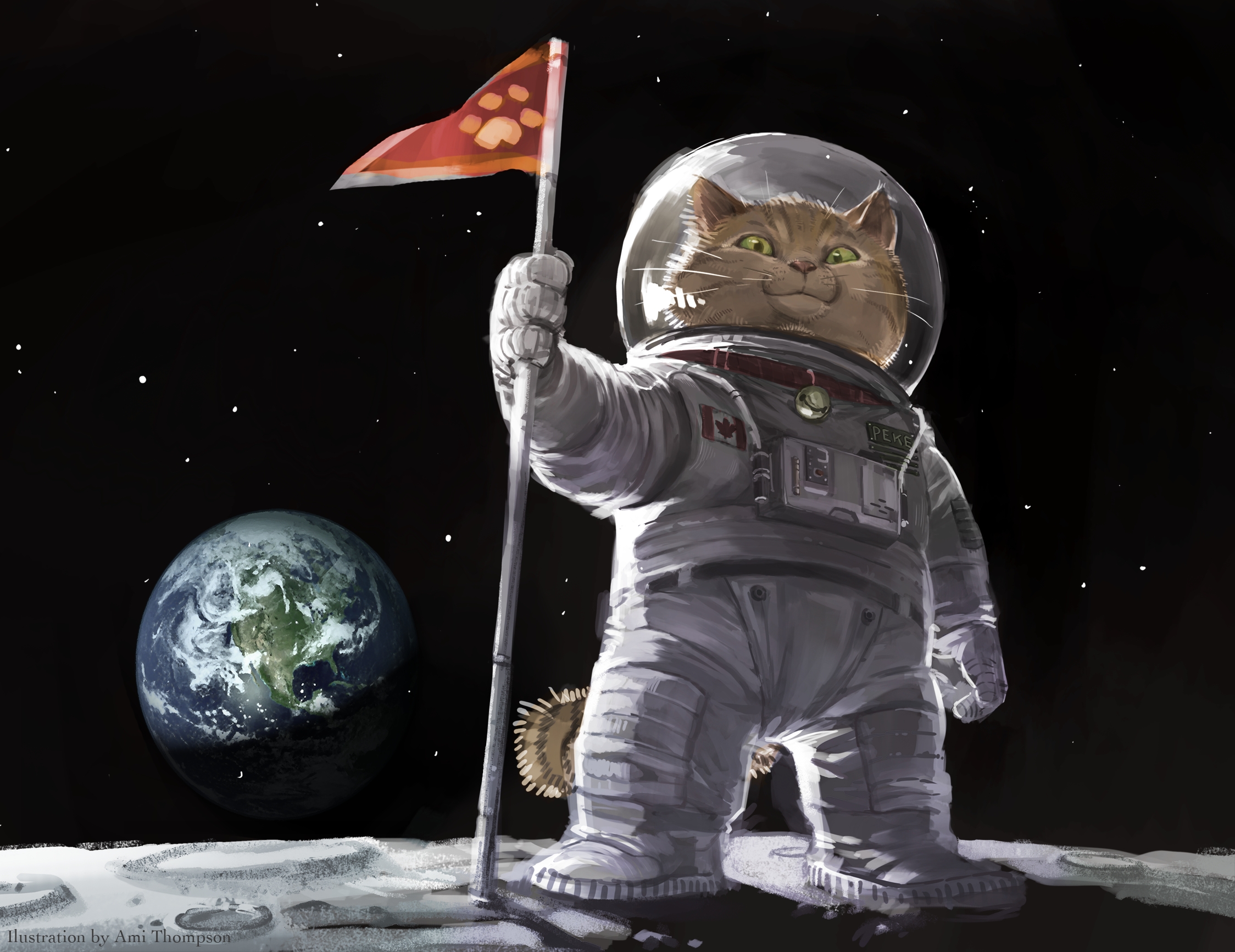 Ami Thompson original cat space planets humor wallpaperx1734