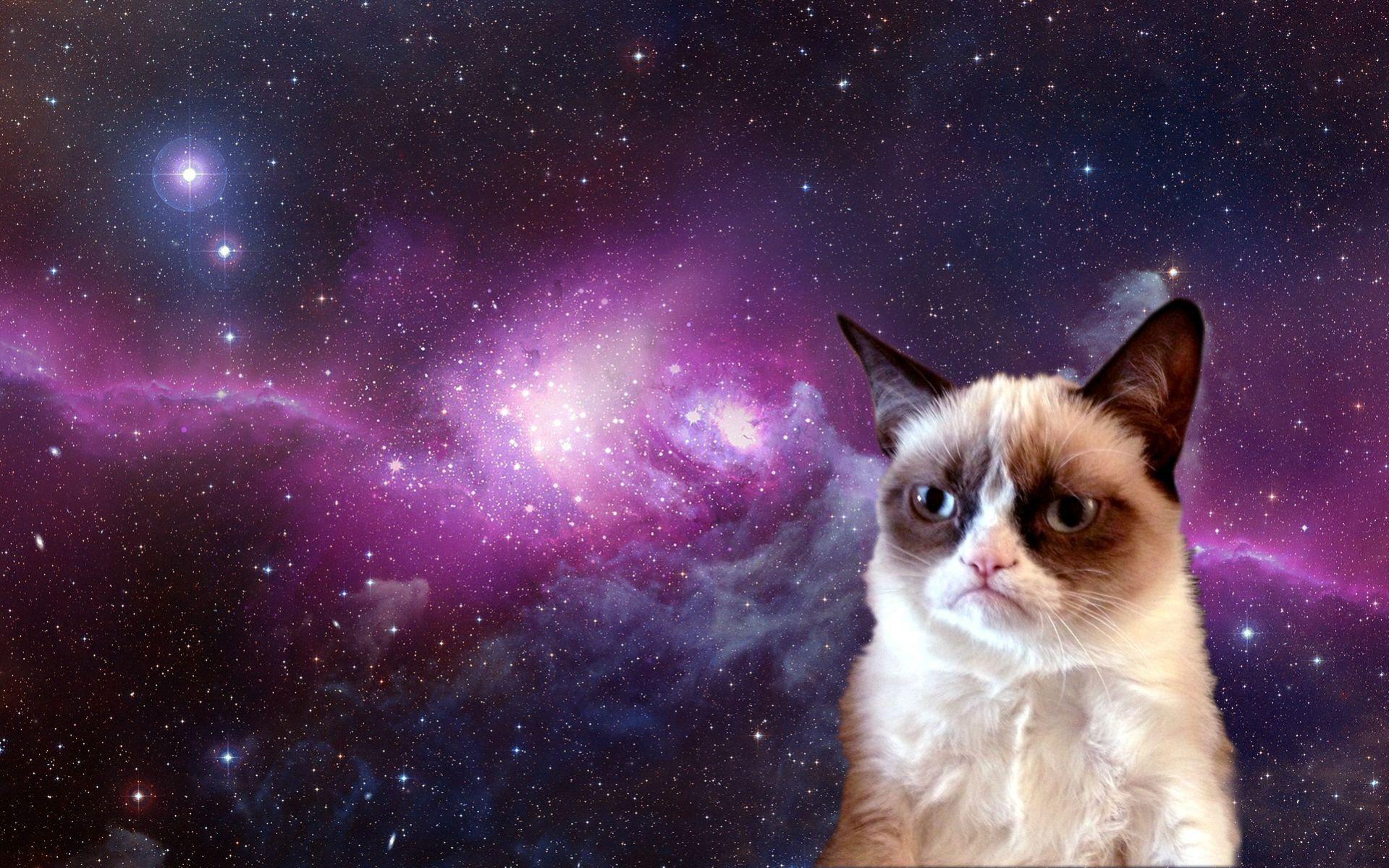 Grumpy Cat in Space [1920x1200]. Cat wallpaper, Grumpy cat humor, Grumpy cat meme