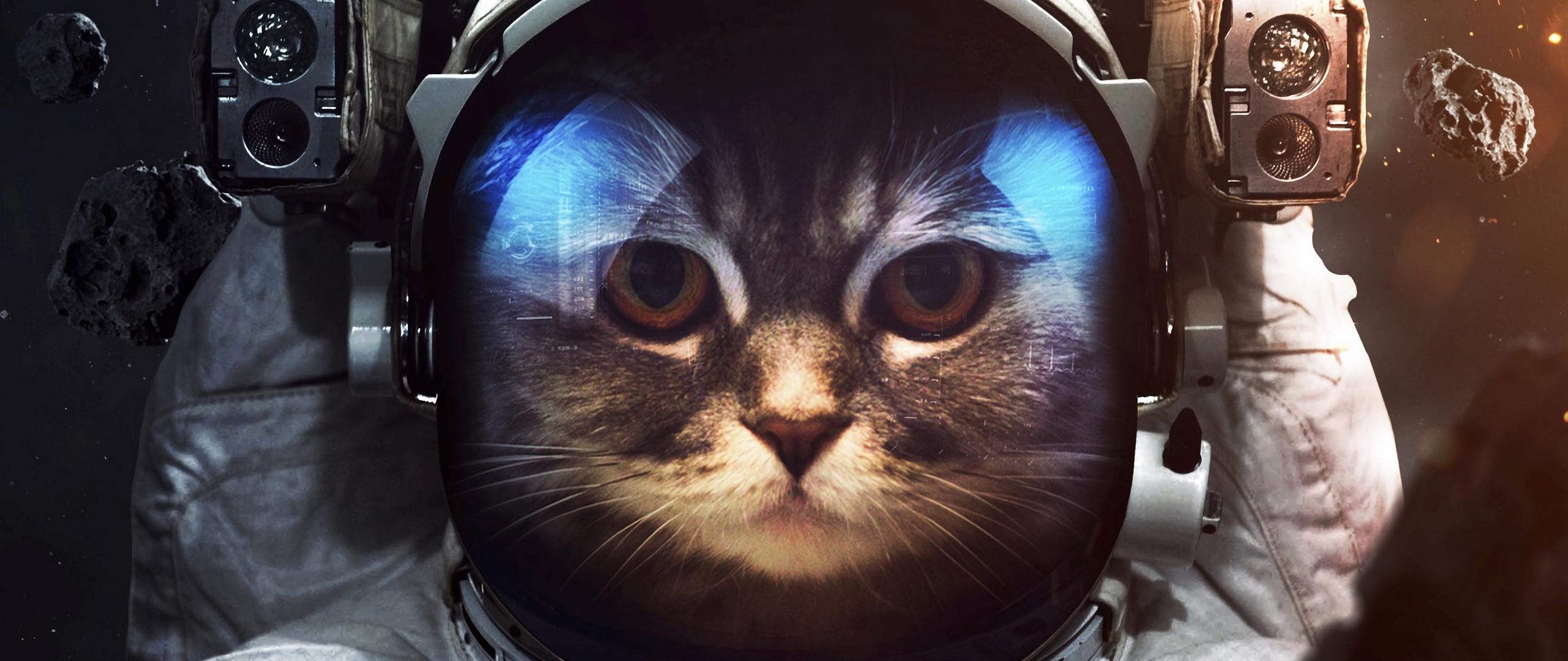 Download wallpaper 2560x1080 cat, cosmonaut, space suit, space