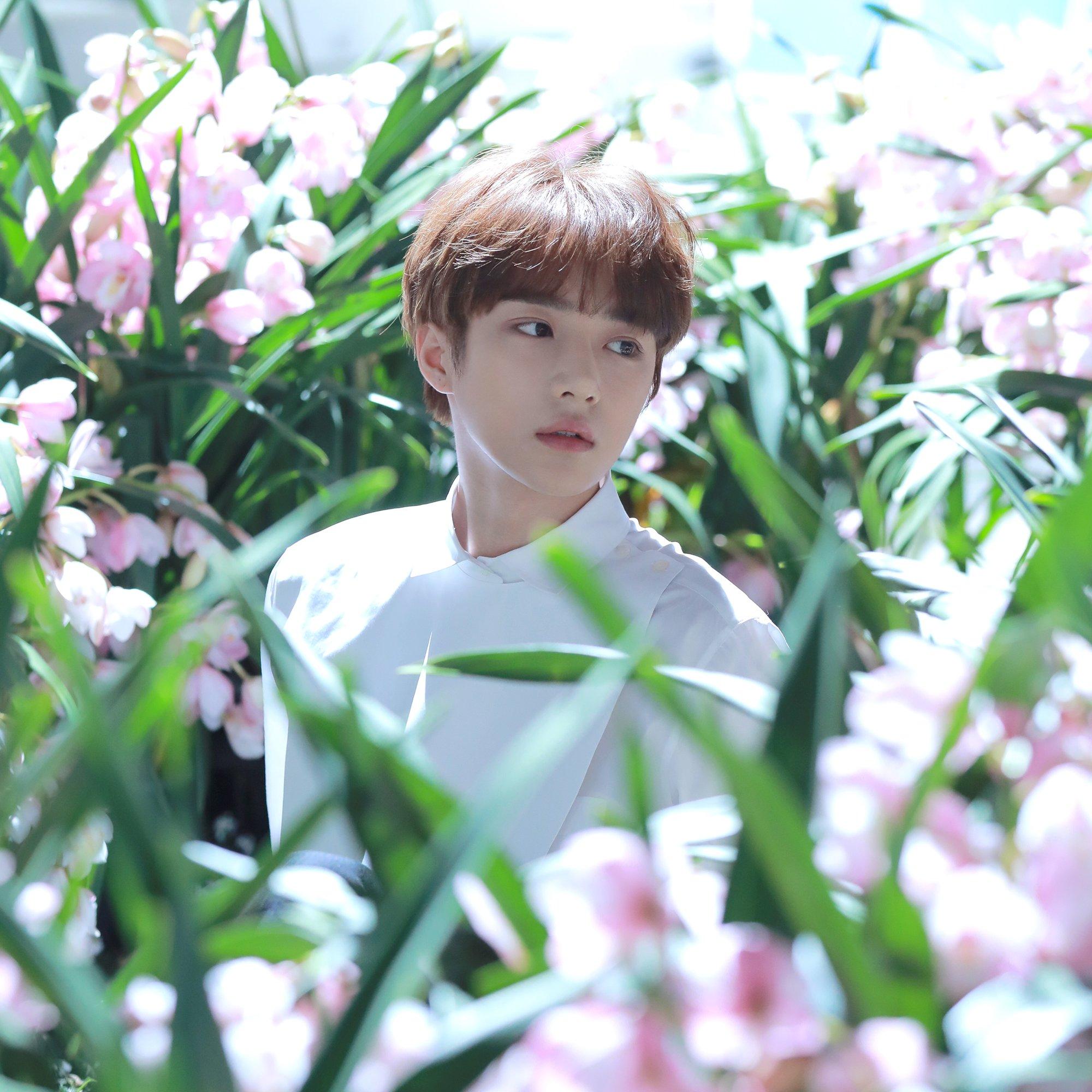 TXT image Beomgyu HD wallpaper and background photo