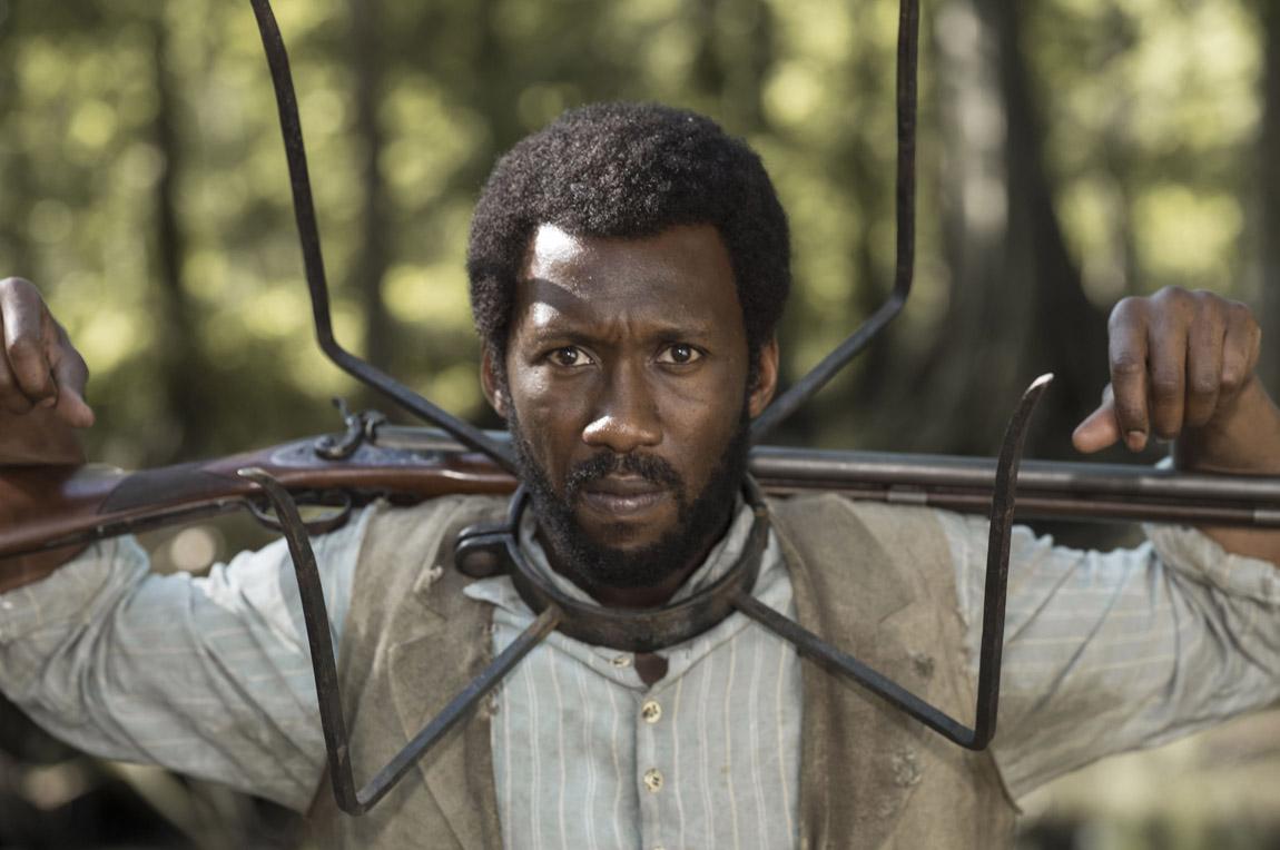 Free State of Jones Mahershala Ali wallpaper 2018 in Free State of Jones