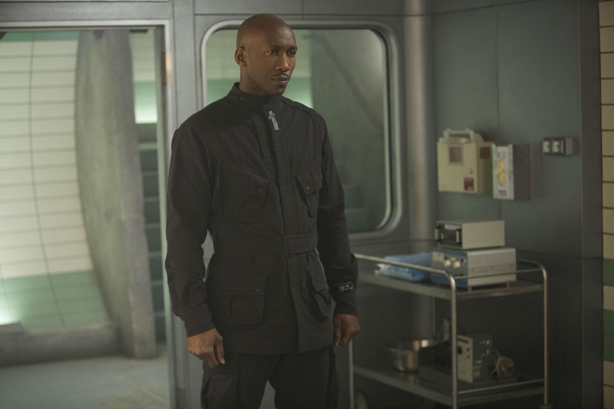 Picture of Mahershala Ali, Picture Of Celebrities