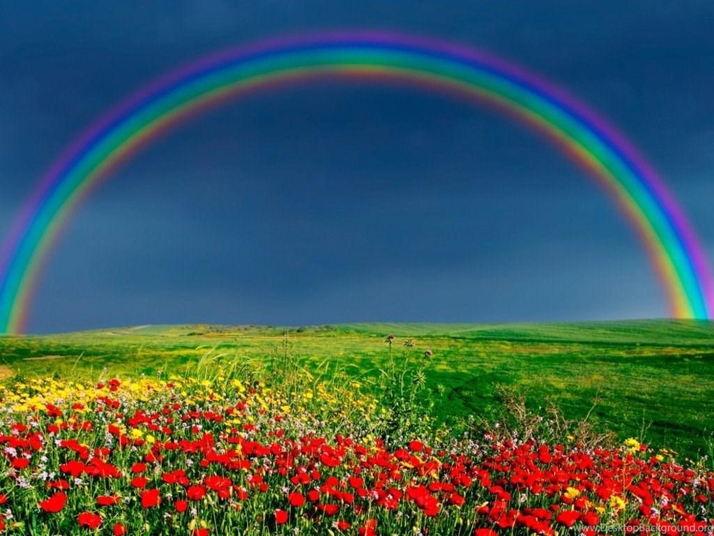 Nature Wallpaper Rainbow On Sky .desktopbackground.org