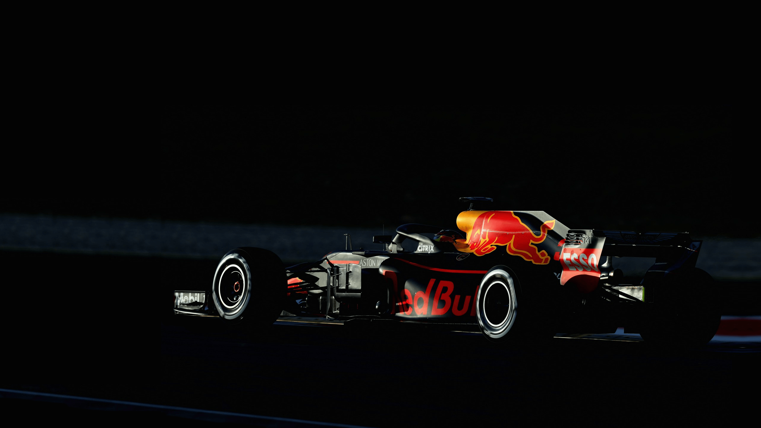 Winter Testing Verstappen (Red Bull) [2560x1440]