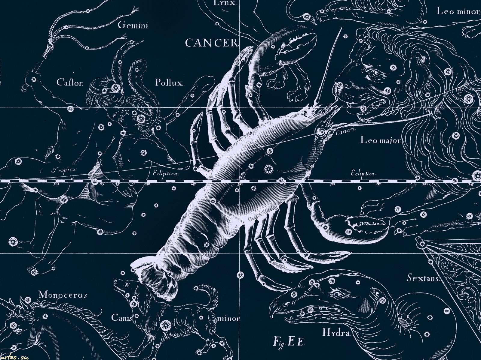 Star chart, cancer wallpaper and image, picture, photo