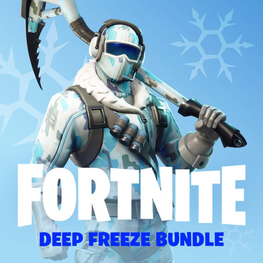 Warner Bros Fortnite: Deep Freeze Bundle