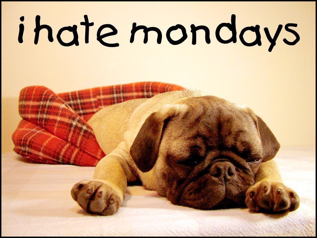 Why people hate mondays