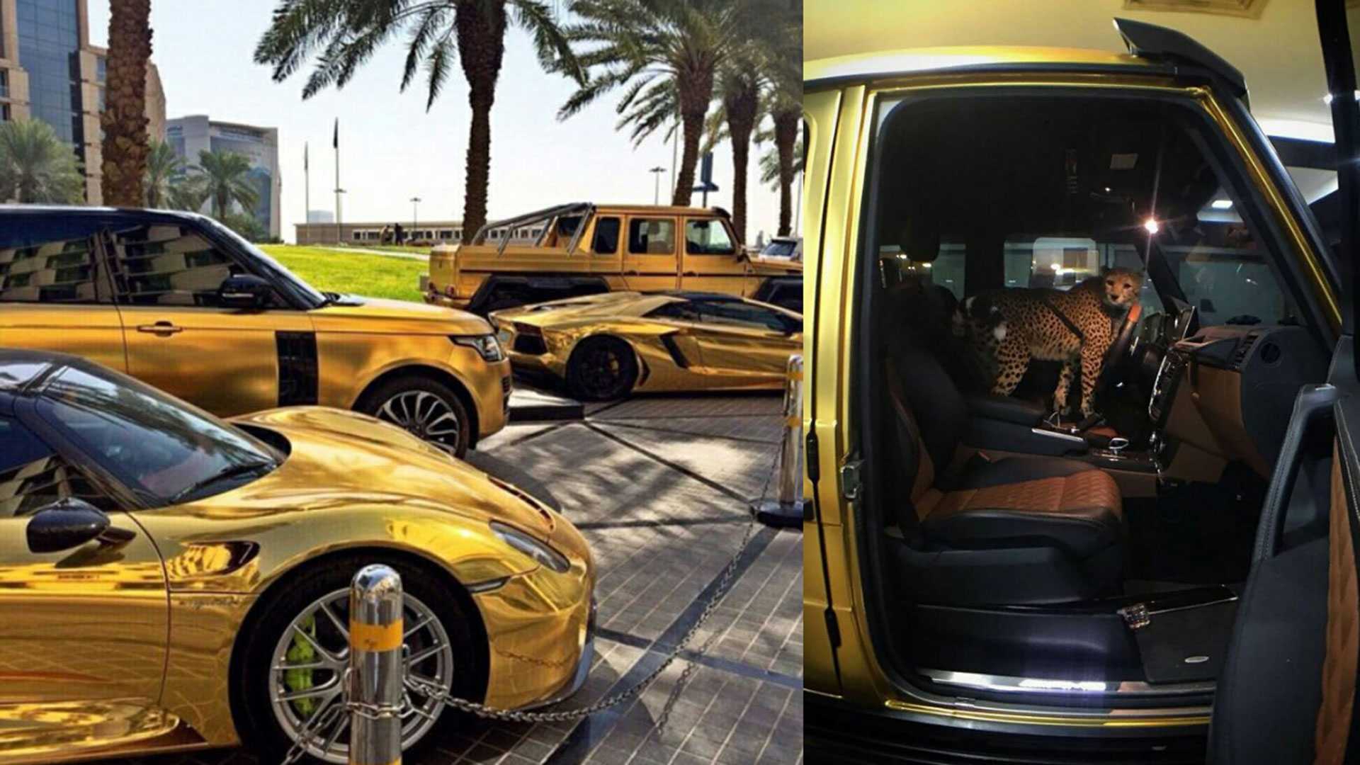 Arab Billionaire with gold supercars and pet cheetah