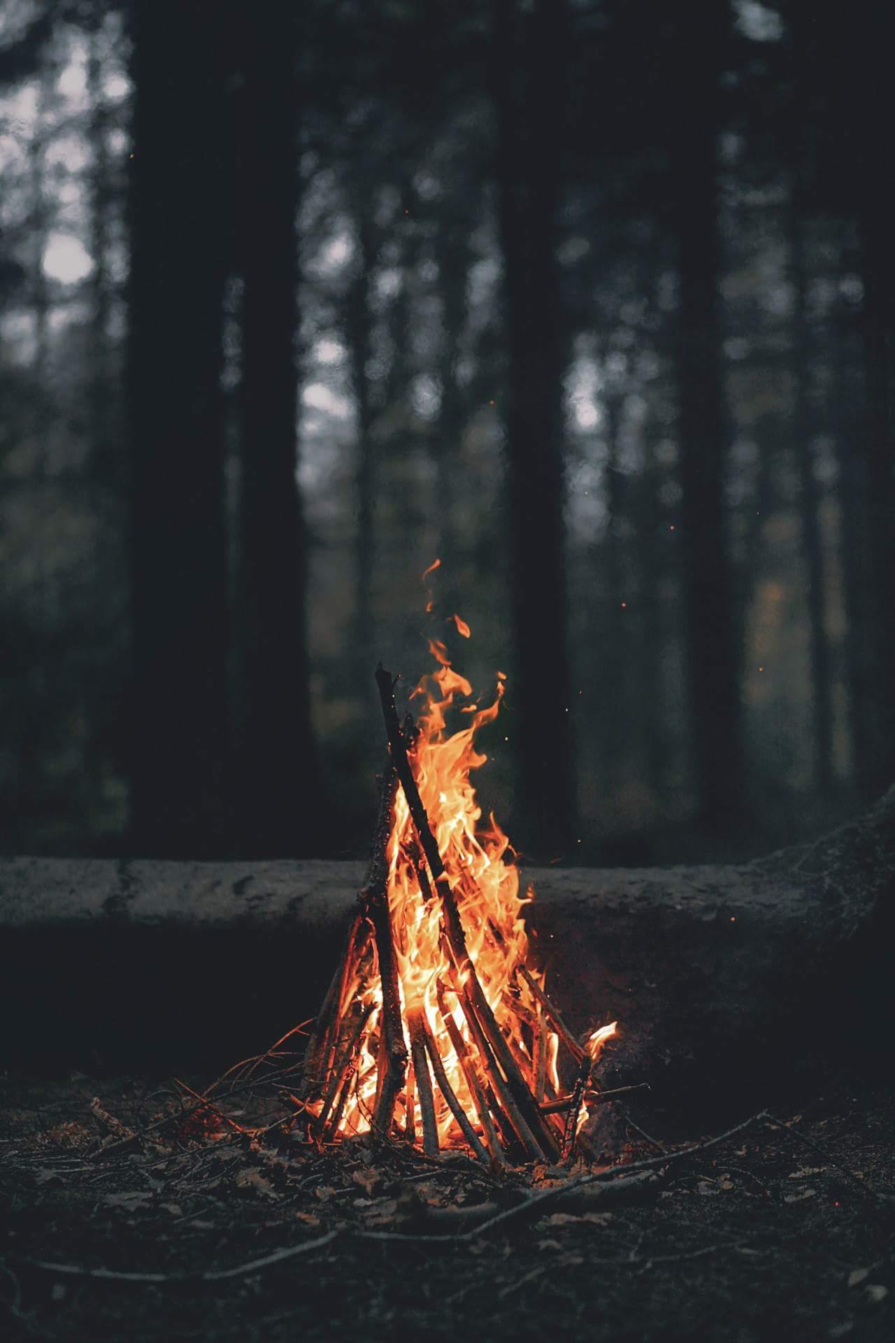 Wallpaper, forest, campfire, cozy 1280x1920