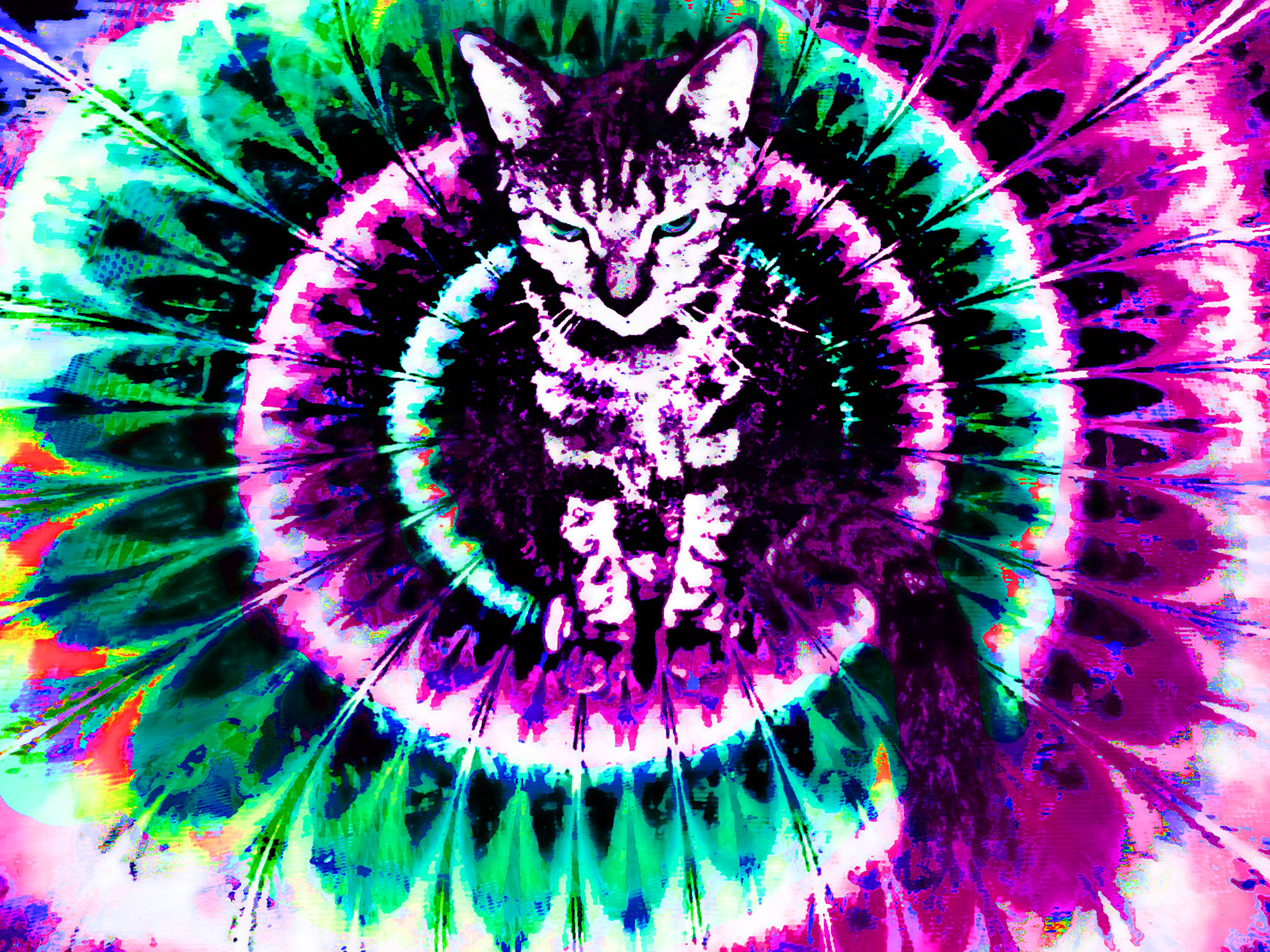 Trippy Cat Wallpaper