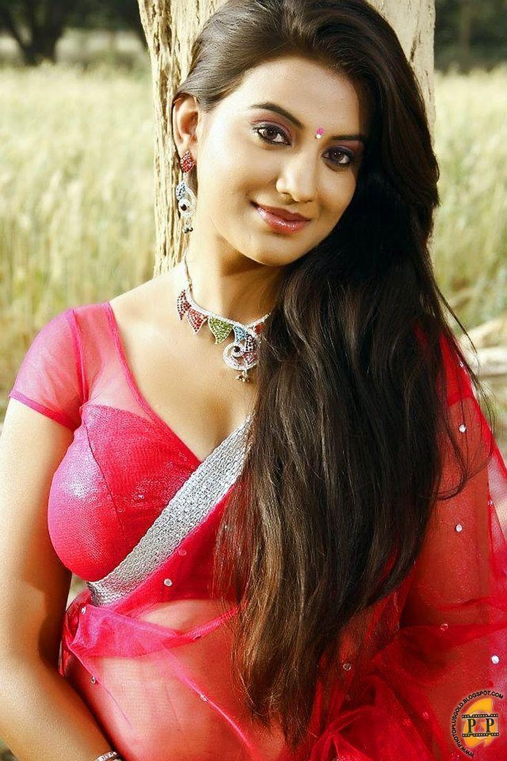 HOT South Indian Actress Photo in Saree