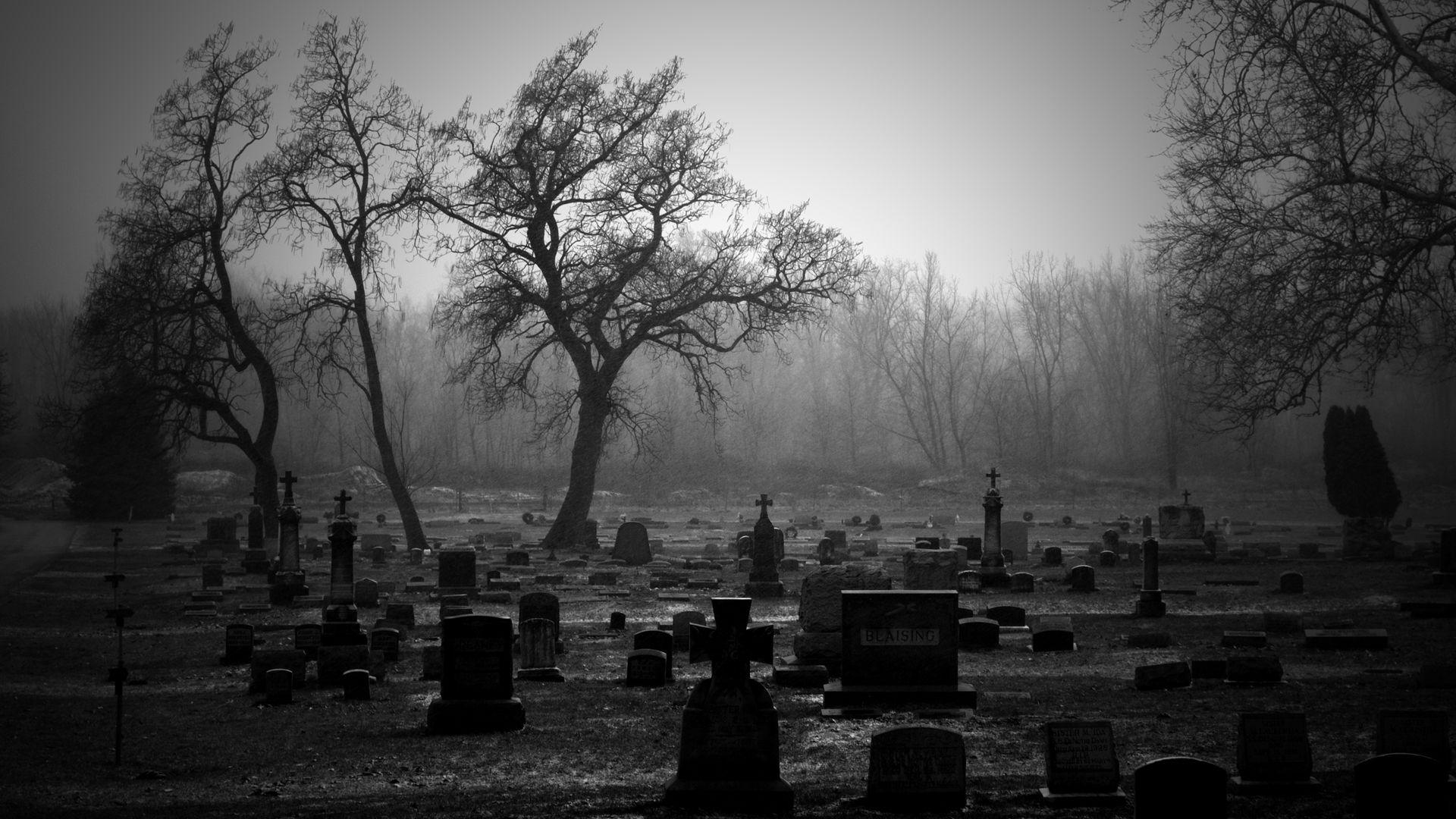 Cemetery BW Tombstones Trees. Cementerios antiguos, Cementerio, Cementerio de halloween