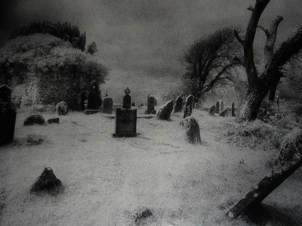 Group of Haunted Graveyard Wallpaper HD