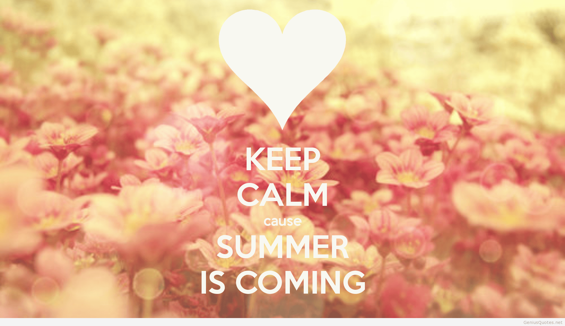 ▷ HD wallpapers summer is coming quote quote