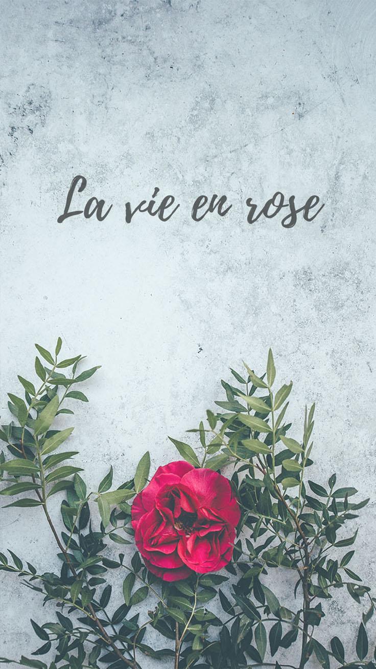 La Vie En Rose Wallpapers - Wallpaper Cave