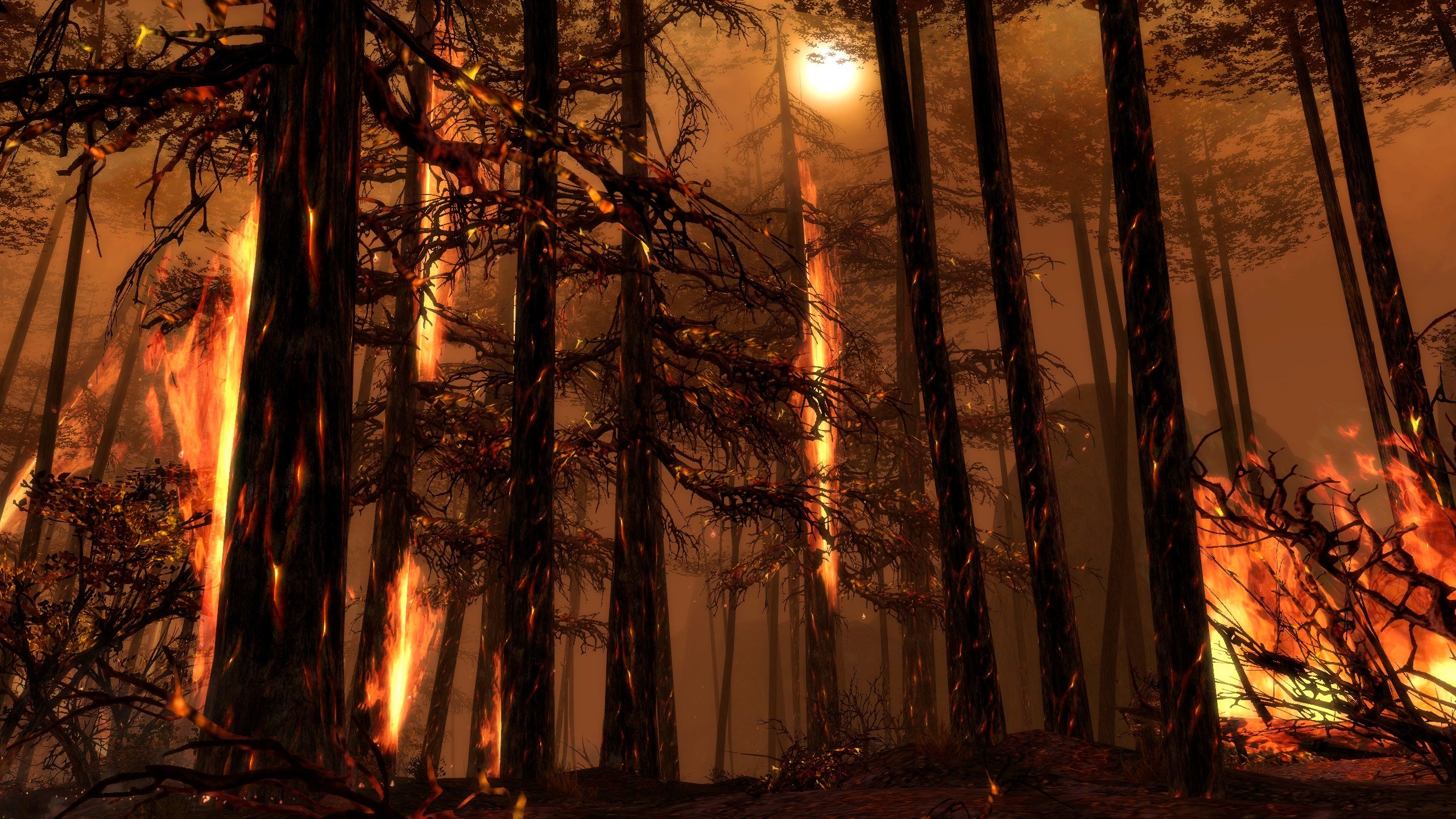 Picture of Burning Forest HD