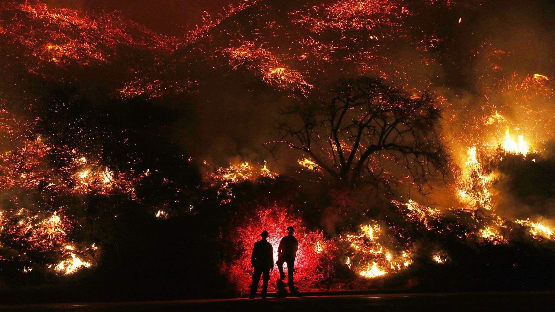 Two Man Standing In Front Of Forest Fire Laptop Full HD