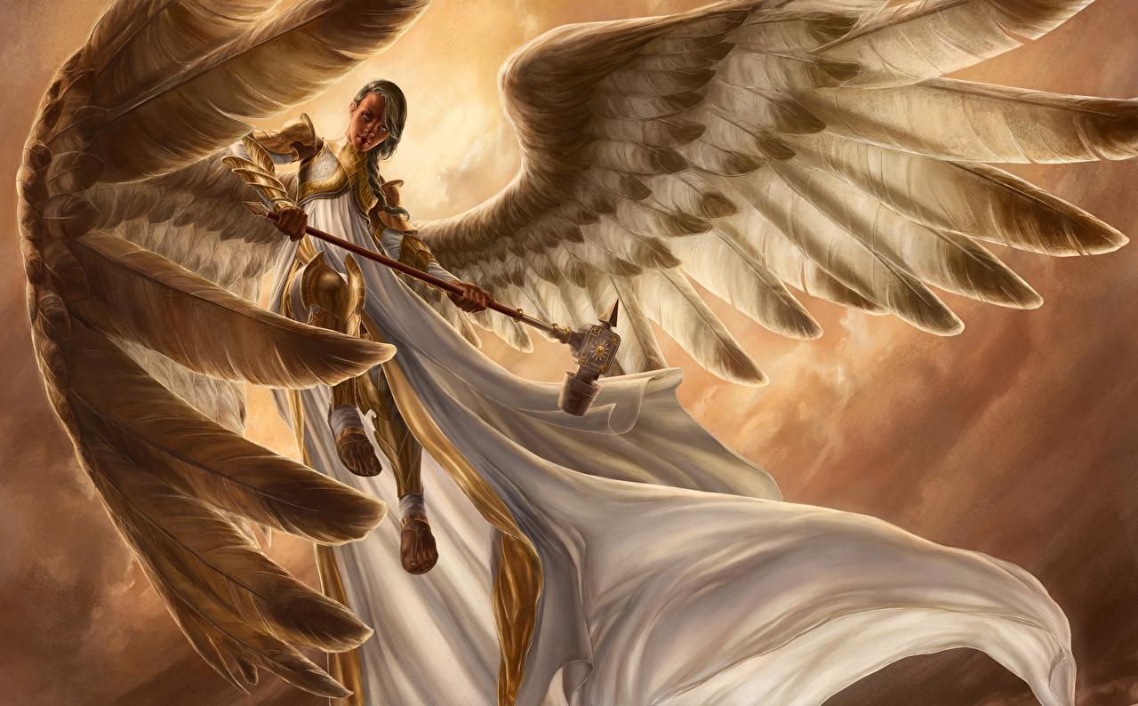 image Wings War hammer Girls Fantasy Angels Flight