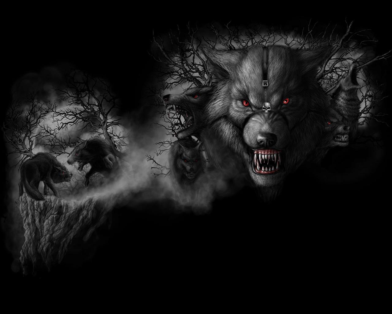 HD scary wolf wallpapers  Peakpx