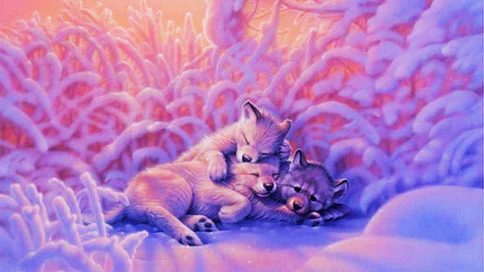 Fox and Wolf Wallpaper Free Fox and Wolf Background