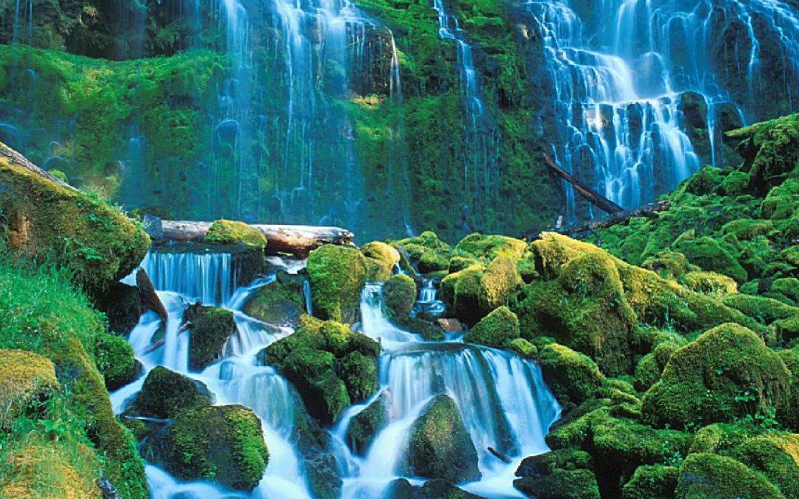 Tropical Waterfall Picture