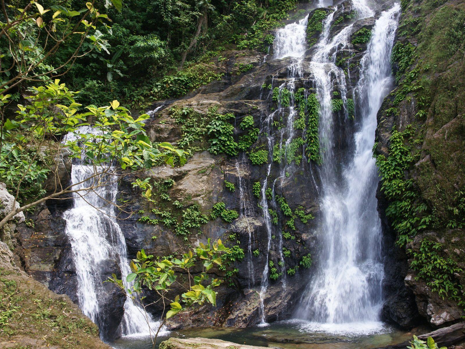 Tropical waterfall. Tropical Waterfall Wallpaper Tropical