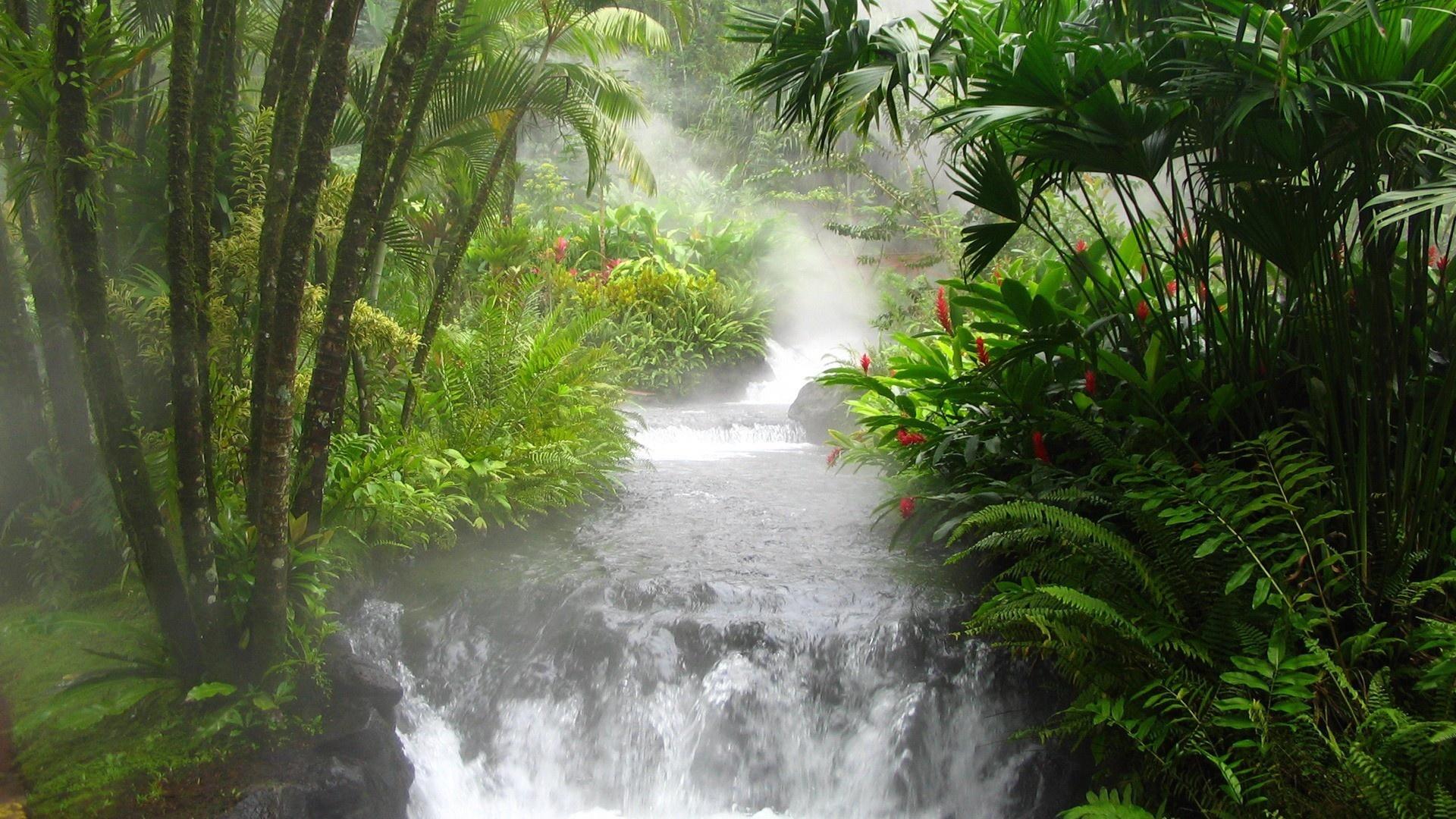 Download Tropical Rainforest Waterfall Wallpaper 1920x1080